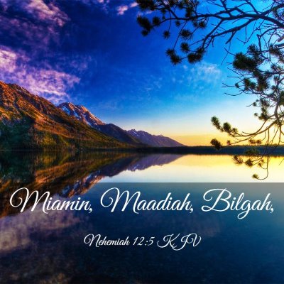 Picture 03 - Nehemiah 12:5 KJV - Miamin, Maadiah, - Bible Verse Picture