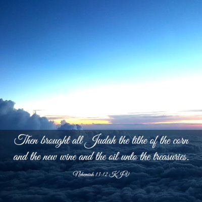 Picture 03 - Nehemiah 13:12 KJV - Then brought all Judah the tithe of the corn and - Bible Verse Picture