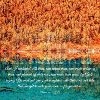 Picture 03 - Nehemiah 13:25 KJV - And I contended with them, and cursed them, and - Bible Verse Picture