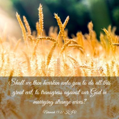 Picture 03 - Nehemiah 13:27 KJV - Shall we then hearken unto you to do all this - Bible Verse Picture