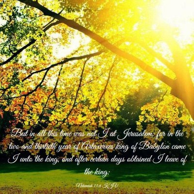 Picture 03 - Nehemiah 13:6 KJV - But in all this time was not I at Jerusalem: for - Bible Verse Picture