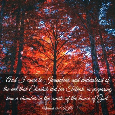Picture 03 - Nehemiah 13:7 KJV - And I came to Jerusalem, and understood of the - Bible Verse Picture