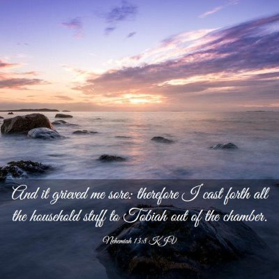 Picture 03 - Nehemiah 13:8 KJV - And it grieved me sore: therefore I cast forth - Bible Verse Picture