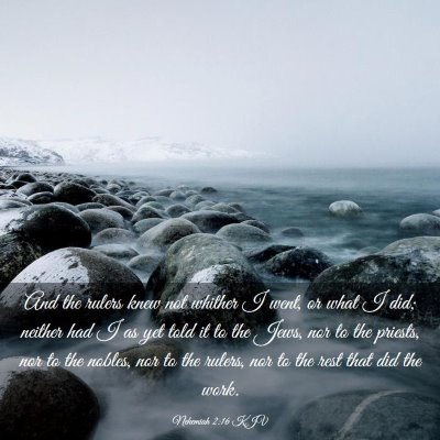 Picture 03 - Nehemiah 2:16 KJV - And the rulers knew not whither I went, or what I - Bible Verse Picture