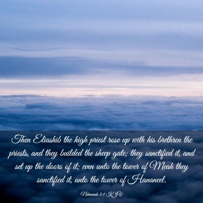 Picture 03 - Nehemiah 3:1 KJV - Then Eliashib the high priest rose up with his - Bible Verse Picture