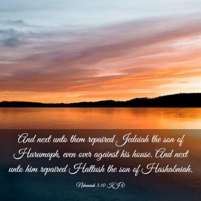 Picture 03 - Nehemiah 3:10 KJV - And next unto them repaired Jedaiah the son of - Bible Verse Picture
