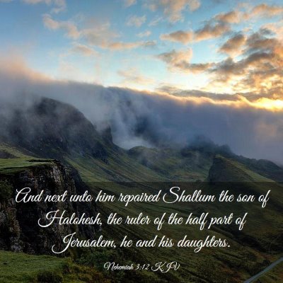 Picture 03 - Nehemiah 3:12 KJV - And next unto him repaired Shallum the son of - Bible Verse Picture