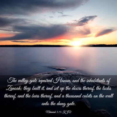 Picture 03 - Nehemiah 3:13 KJV - The valley gate repaired Hanun, and the - Bible Verse Picture