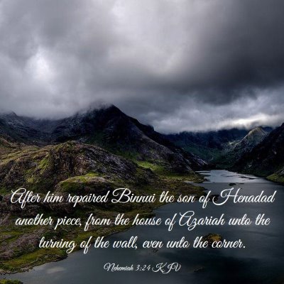 Picture 03 - Nehemiah 3:24 KJV - After him repaired Binnui the son of Henadad - Bible Verse Picture