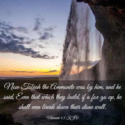 Picture 03 - Nehemiah 4:3 KJV - Now Tobiah the Ammonite was by him, and he said, - Bible Verse Picture