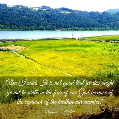 Picture 03 - Nehemiah 5:9 KJV - Also I said, It is not good that ye do: ought ye - Bible Verse Picture