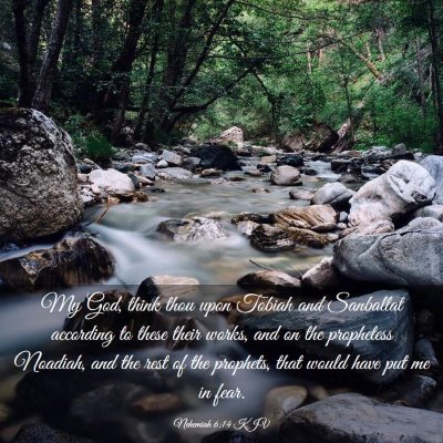 Picture 03 - Nehemiah 6:14 KJV - My God, think thou upon Tobiah and Sanballat - Bible Verse Picture