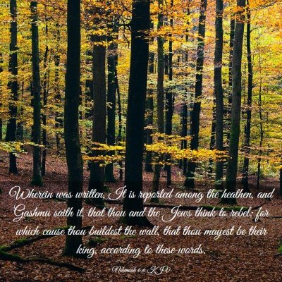 Picture 03 - Nehemiah 6:6 KJV - Wherein was written, It is reported among the - Bible Verse Picture