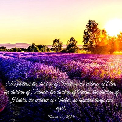 Picture 03 - Nehemiah 7:45 KJV - The porters: the children of Shallum, the - Bible Verse Picture