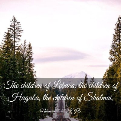 Picture 03 - Nehemiah 7:48 KJV - The children of Lebana, the children of Hagaba, - Bible Verse Picture