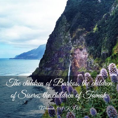 Picture 03 - Nehemiah 7:55 KJV - The children of Barkos, the children of Sisera, - Bible Verse Picture