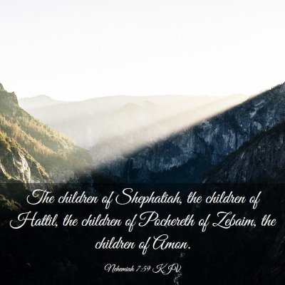 Picture 03 - Nehemiah 7:59 KJV - The children of Shephatiah, the children of - Bible Verse Picture