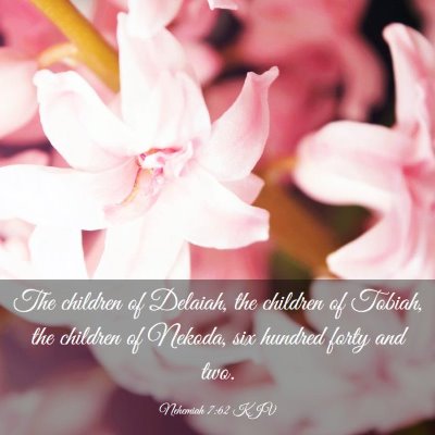 Picture 03 - Nehemiah 7:62 KJV - The children of Delaiah, the children of Tobiah, - Bible Verse Picture