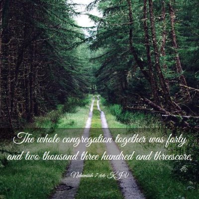 Picture 03 - Nehemiah 7:66 KJV - The whole congregation together was forty and two - Bible Verse Picture