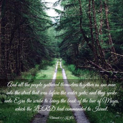 Picture 03 - Nehemiah 8:1 KJV - And all the people gathered themselves together - Bible Verse Picture