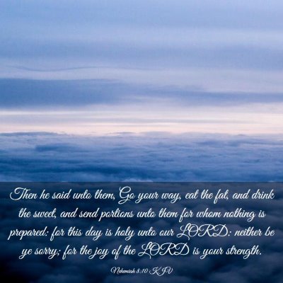 Picture 03 - Nehemiah 8:10 KJV - Then he said unto them, Go your way, eat the fat, - Bible Verse Picture