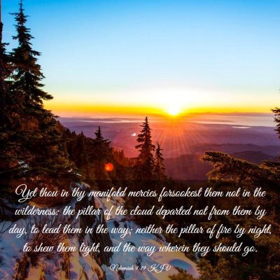 Picture 03 - Nehemiah 9:19 KJV - Yet thou in thy manifold mercies forsookest them - Bible Verse Picture