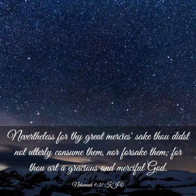 Picture 03 - Nehemiah 9:31 KJV - Nevertheless for thy great mercies' sake thou - Bible Verse Picture