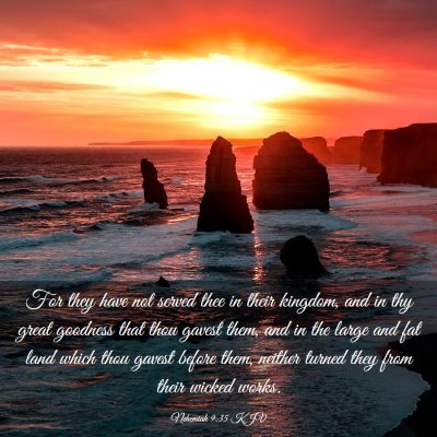 Picture 03 - Nehemiah 9:35 KJV - For they have not served thee in their kingdom, - Bible Verse Picture
