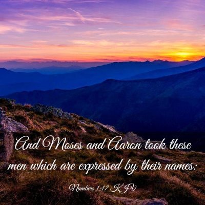 Picture 03 - Numbers 1:17 KJV - And Moses and Aaron took these men which are - Bible Verse Picture