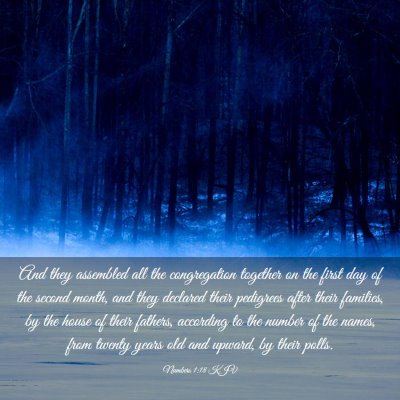 Picture 03 - Numbers 1:18 KJV - And they assembled all the congregation together - Bible Verse Picture
