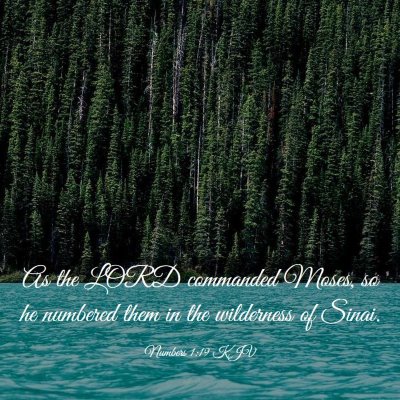 Picture 03 - Numbers 1:19 KJV - As the LORD commanded Moses, so he numbered them - Bible Verse Picture
