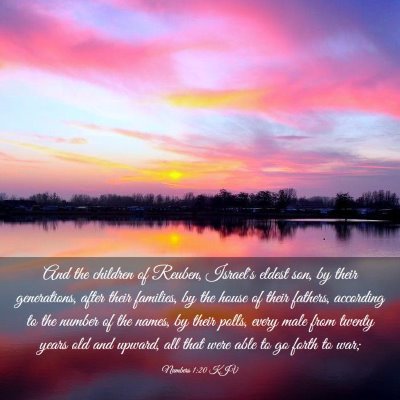 Picture 03 - Numbers 1:20 KJV - And the children of Reuben, Israel's eldest son, - Bible Verse Picture