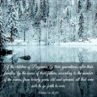 Picture 03 - Numbers 1:36 KJV - Of the children of Benjamin, by their - Bible Verse Picture