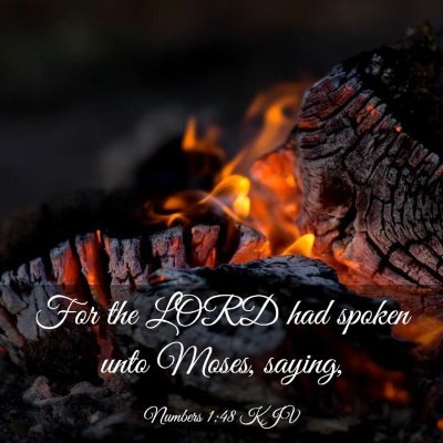 Picture 03 - Numbers 1:48 KJV - For the LORD had spoken unto Moses, - Bible Verse Picture