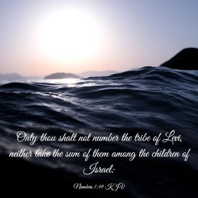 Picture 03 - Numbers 1:49 KJV - Only thou shalt not number the tribe of Levi, - Bible Verse Picture