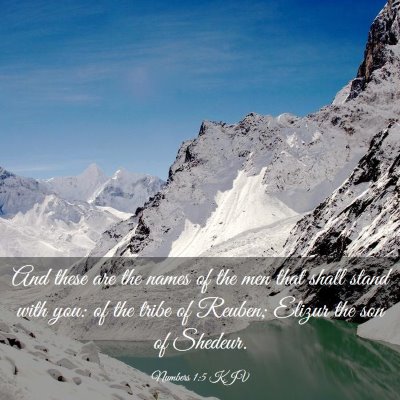 Picture 03 - Numbers 1:5 KJV - And these are the names of the men that shall - Bible Verse Picture