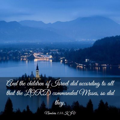 Picture 03 - Numbers 1:54 KJV - And the children of Israel did according to all - Bible Verse Picture