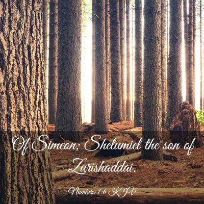 Picture 03 - Numbers 1:6 KJV - Of Simeon; Shelumiel the son of - Bible Verse Picture
