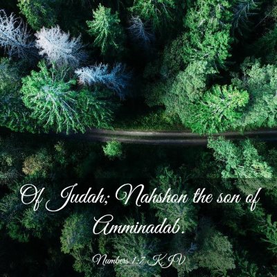 Picture 03 - Numbers 1:7 KJV - Of Judah; Nahshon the son of - Bible Verse Picture