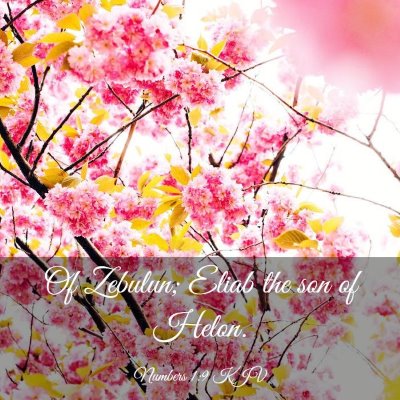Picture 03 - Numbers 1:9 KJV - Of Zebulun; Eliab the son of - Bible Verse Picture