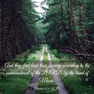 Picture 03 - Numbers 10:13 KJV - And they first took their journey according to - Bible Verse Picture