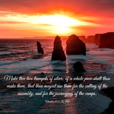 Picture 03 - Numbers 10:2 KJV - Make thee two trumpets of silver; of a whole - Bible Verse Picture