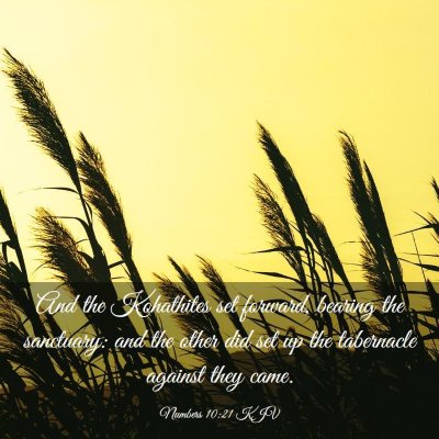 Picture 03 - Numbers 10:21 KJV - And the Kohathites set forward, bearing the - Bible Verse Picture