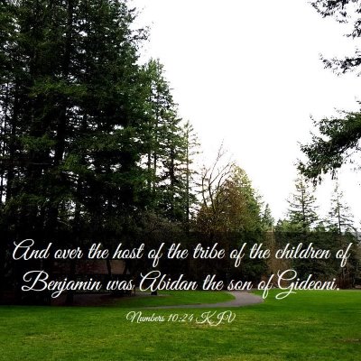 Picture 03 - Numbers 10:24 KJV - And over the host of the tribe of the children of - Bible Verse Picture