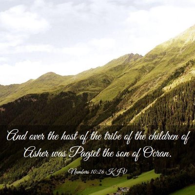 Picture 03 - Numbers 10:26 KJV - And over the host of the tribe of the children of - Bible Verse Picture