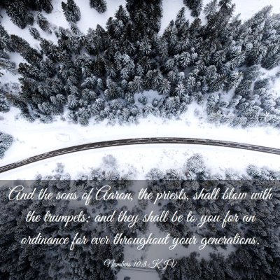 Picture 03 - Numbers 10:8 KJV - And the sons of Aaron, the priests, shall blow - Bible Verse Picture
