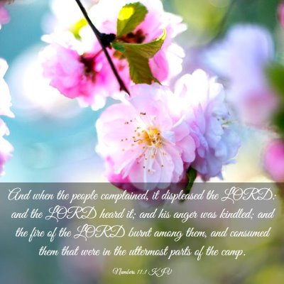 Picture 03 - Numbers 11:1 KJV - And when the people complained, it displeased the - Bible Verse Picture
