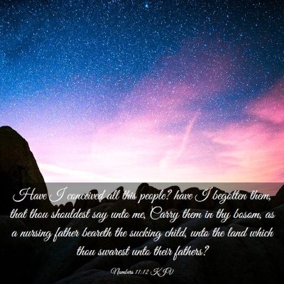 Picture 03 - Numbers 11:12 KJV - Have I conceived all this people? have I begotten - Bible Verse Picture