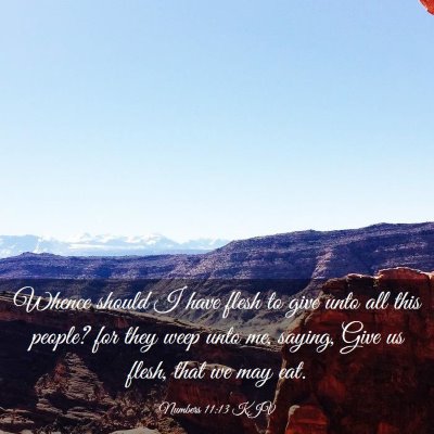 Picture 03 - Numbers 11:13 KJV - Whence should I have flesh to give unto all this - Bible Verse Picture