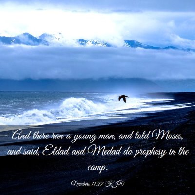 Picture 03 - Numbers 11:27 KJV - And there ran a young man, and told Moses, and - Bible Verse Picture